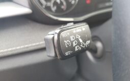 Skoda Fabia 1.0 TSI Style