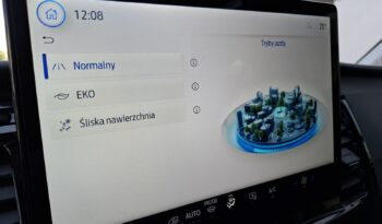 Brygadówka, Brygadowy Nowy Ford Transit 7-osobowy L3 Od ręki! full