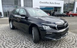Skoda Kamiq Edition 130 1,5 TSI (150 KM) 110 kW 7-biegowa DSG | Vin: TMBGK6NW8T3089733
