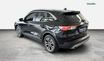 Ford Kuga 2.0 EcoBlue AWD ST-Line X full