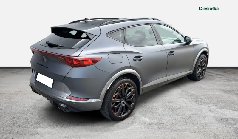 Cupra Formentor 2.0 TSI 4Drive VZ DSG full