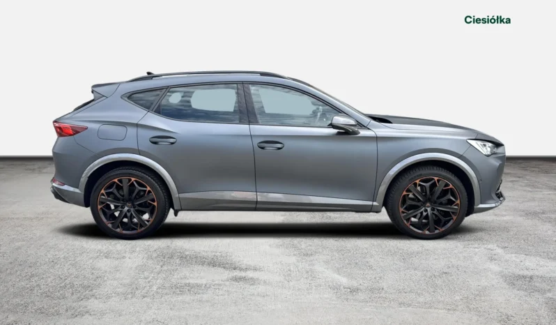 Cupra Formentor 2.0 TSI 4Drive VZ DSG full